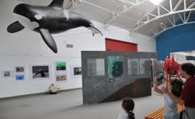 Tercer día en Madryn