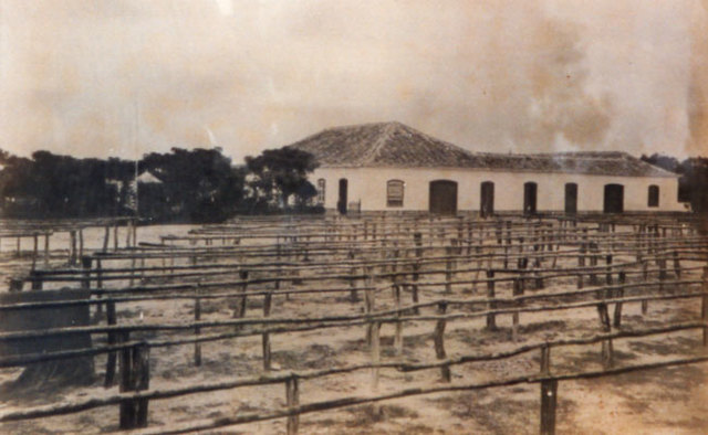 Início das charqueadas no RS - José Pinto Martins