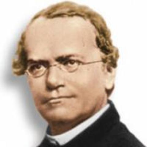 Gregor Mendel