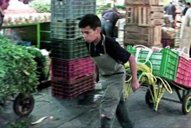 ERRADICACION DEL TRABAJO INFANTIL 1996