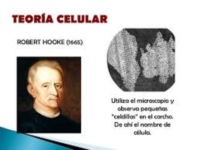 Robert Hooke