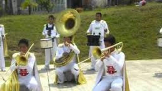 union a la banda musical "cobras"