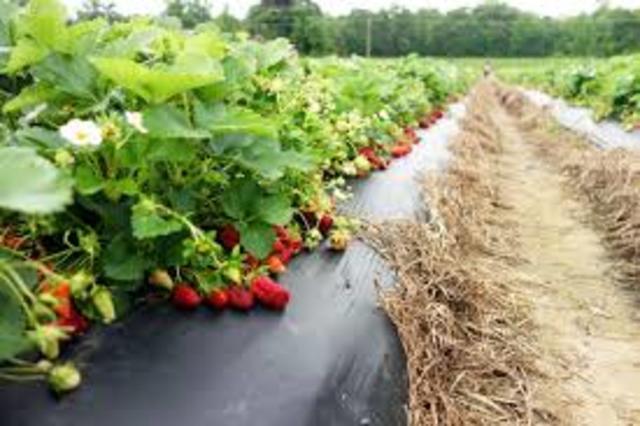 Financial Security for the Unknown