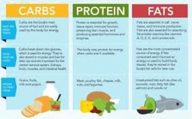 Basics of nutrition