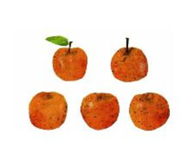 On Friday he ate through five oranges.