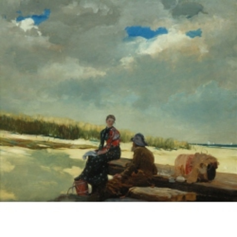 Winslow Homer (Cloud Shadows)