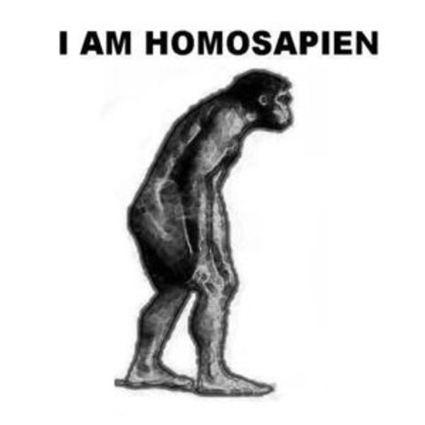 homo