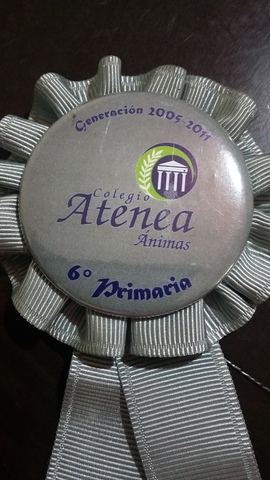 Conclusión de la educaciòn primaria