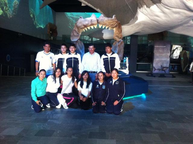 REALIZACIÓN DEL VIAE