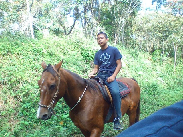 integrante de caballeria