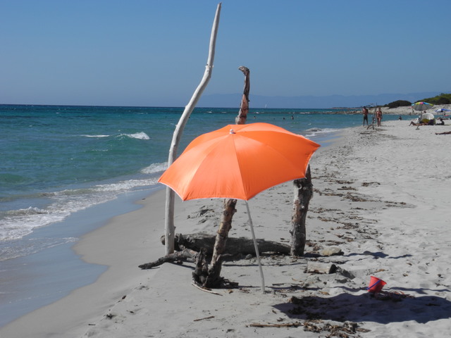 Christmas Carol Singers