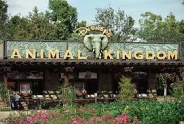 Animal Kingdom Opens