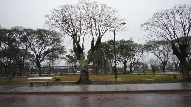 Cebollatí y Velázquez