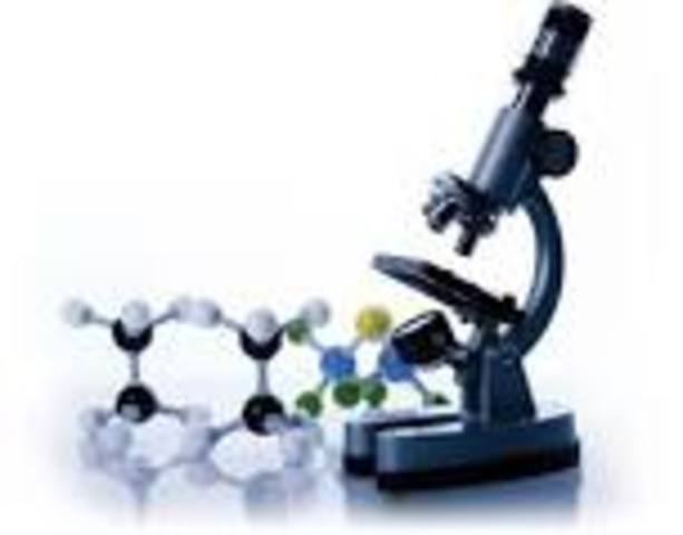 Investigadores de Universidad de burgo