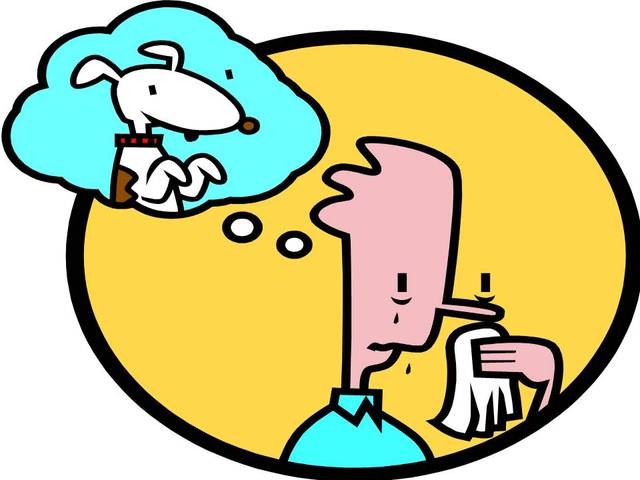 My dog Daisy died. :(