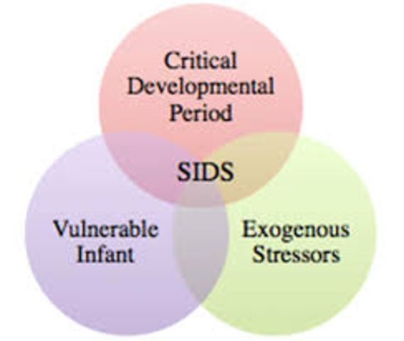Congress passed sudden infant death syndrome Act of 1974
