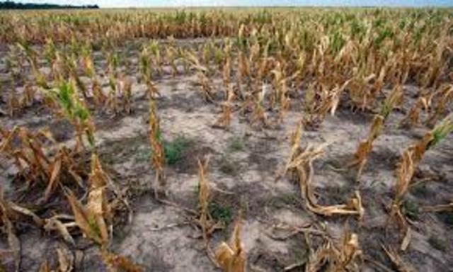 Una Economía en problemas