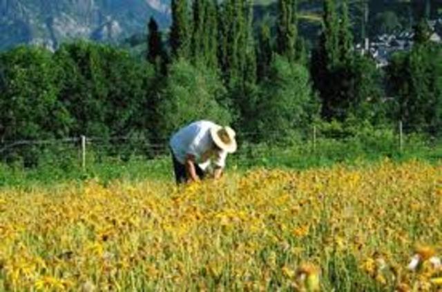 creación de la Environmental Protection Agency (Agencia de Protección Ambiental - 1969