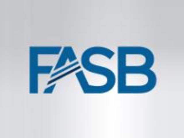 Financial Accounting Standards Board (FASB)