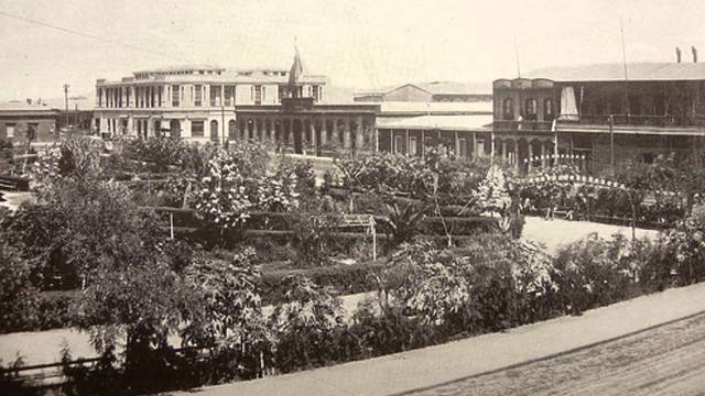 Matanza de Plaza Colón