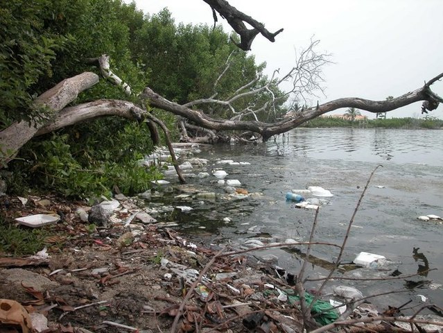 Contaminación de mantos acuíferos