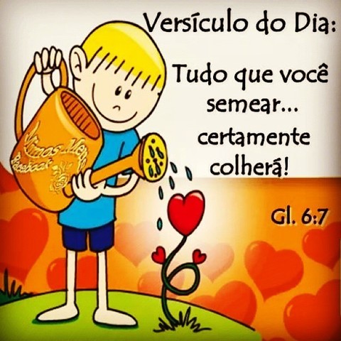 MESTRADO PROFISSIONAL