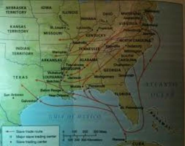 Americas internal slave trade