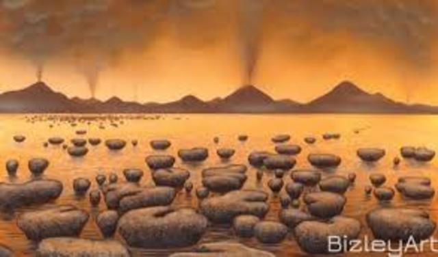 Estromatolitos (Colonia de bacterias estas hacen fotosíntesis)