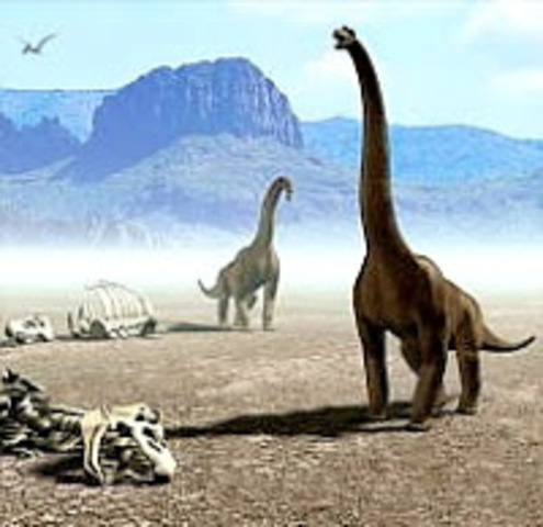 Único continente Pangea, se estabiliza la tierra. Surgimiento de los dinosaurios Ammosaurus (herbívoros), dilofosaurio (carnívoro).