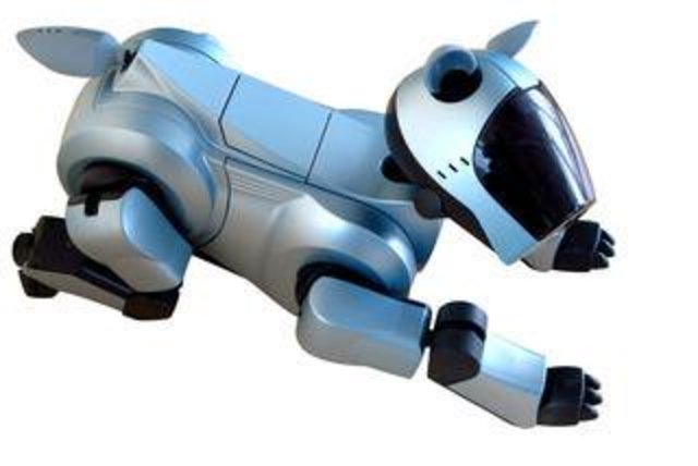 Aibo