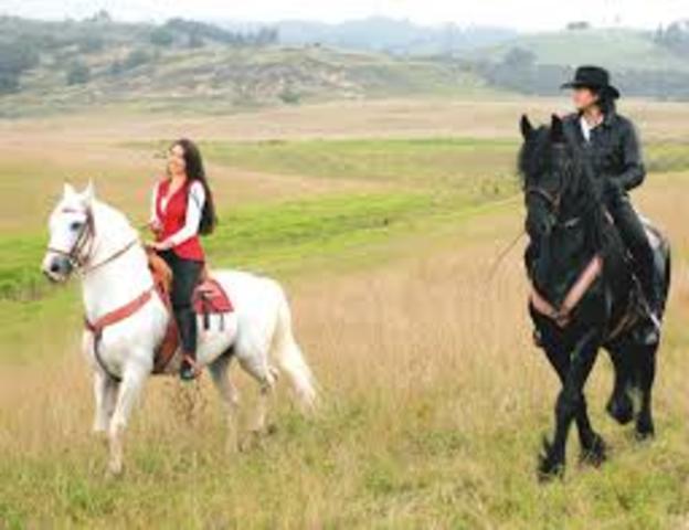 MONTE A CABALLO