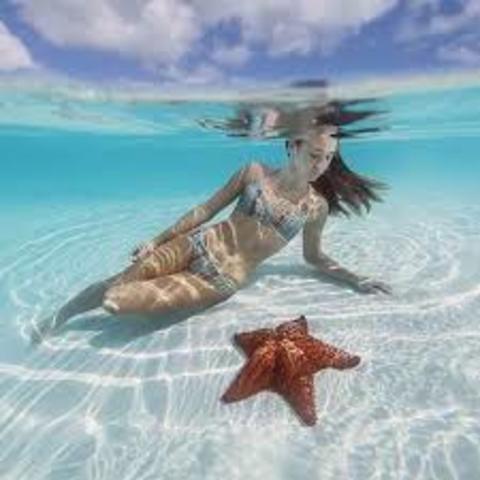 VIAJE Y CONOCÍ EL MAR