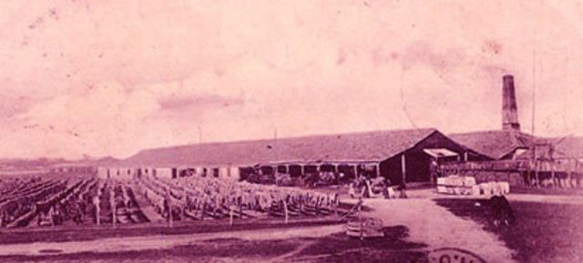 Início das charqueadas em Pelotas