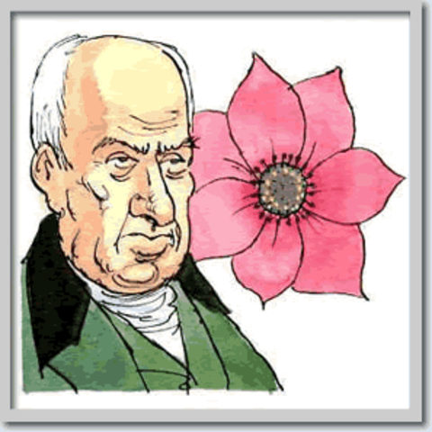 Robert Brown va descobrir el nucli tot observant cèl·lules vegetals.