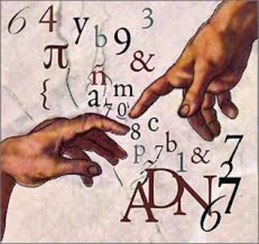 Problemática conceptual y pluralismo epistemológico