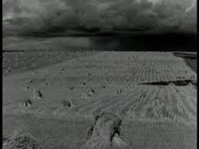 Wheat Farming Failing