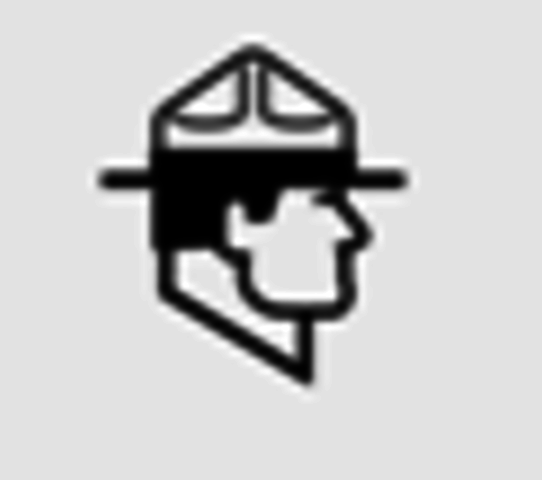 Proibição da coleta das flores sempre-vivas na área do Parque