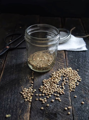 Hidratación de las Semillas de Lenteja