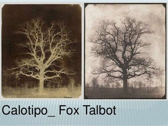 Calotipo
