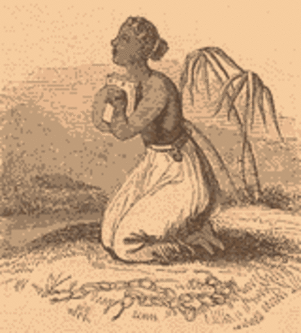 Idea - The Abolitionist Movement