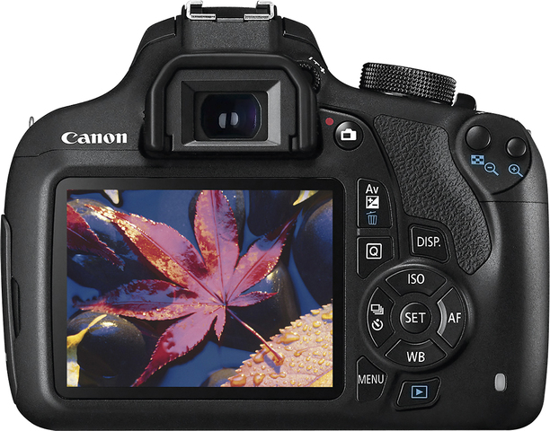 Canon Rebel Digital Camera