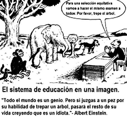Educación desigual para el país