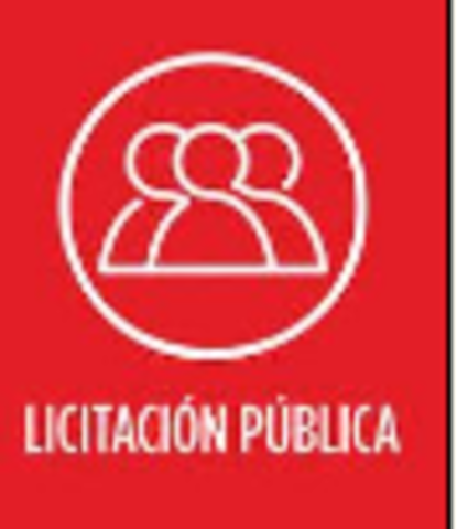Licitación Publica
