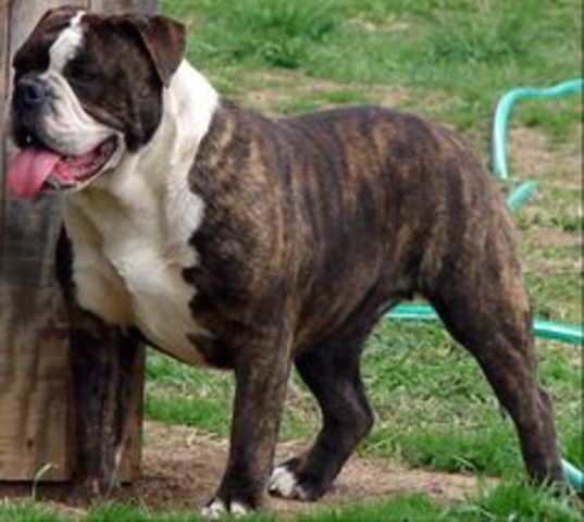 Summer of 2015 a dear friend lost