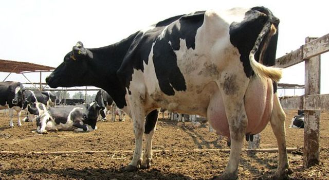 Periodo prepatogénico