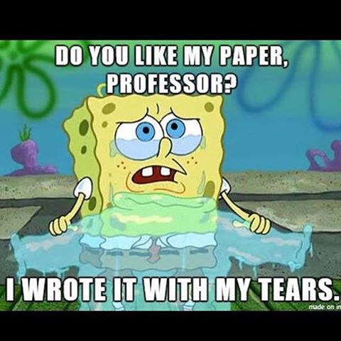 Mid-terms- You're not dead! Yet!