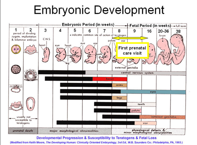 Recuento del desarrollo.