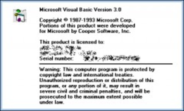 Visual Basic 3.0