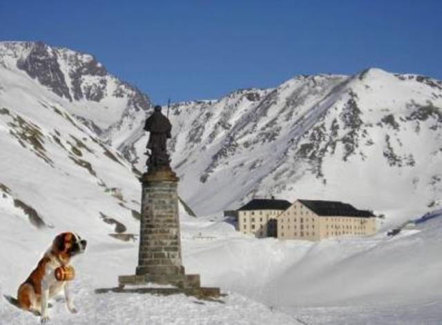 Congregación del Gran San Bernardo