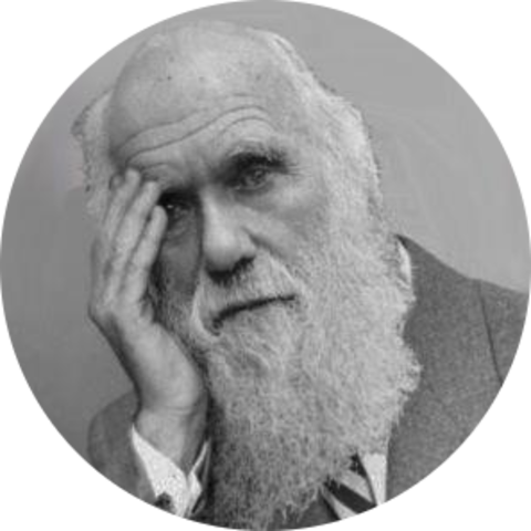 Darwin's Theory of Evolution